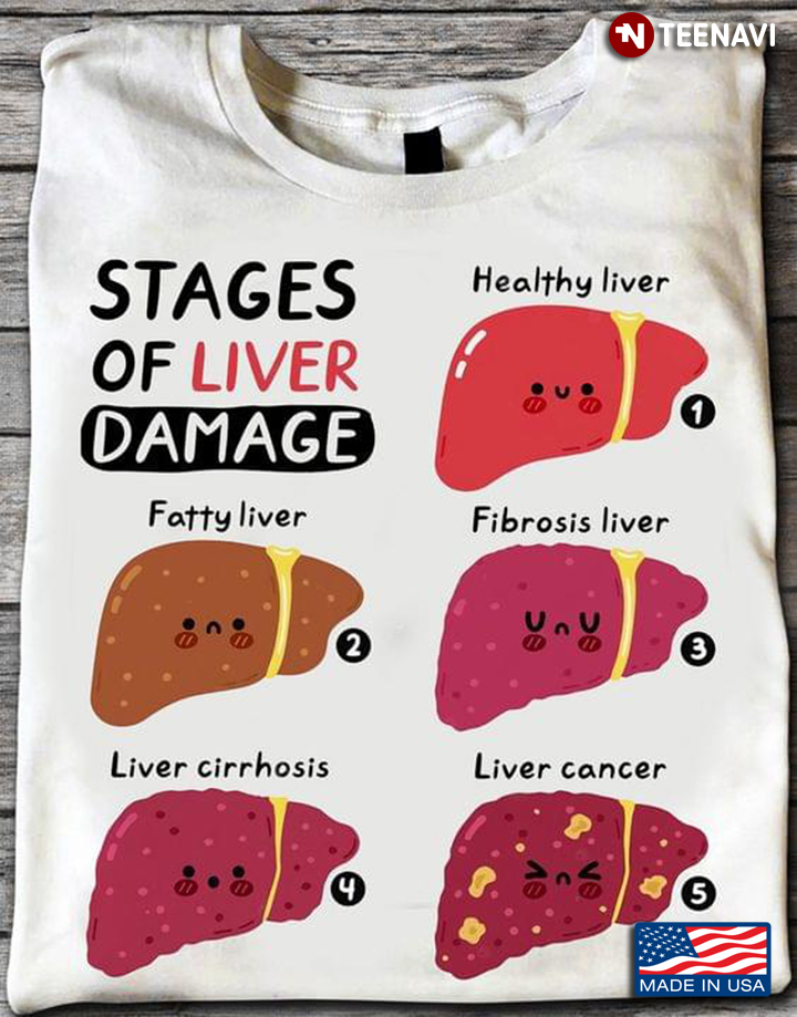 Stages Of Liver Damage Human Health
