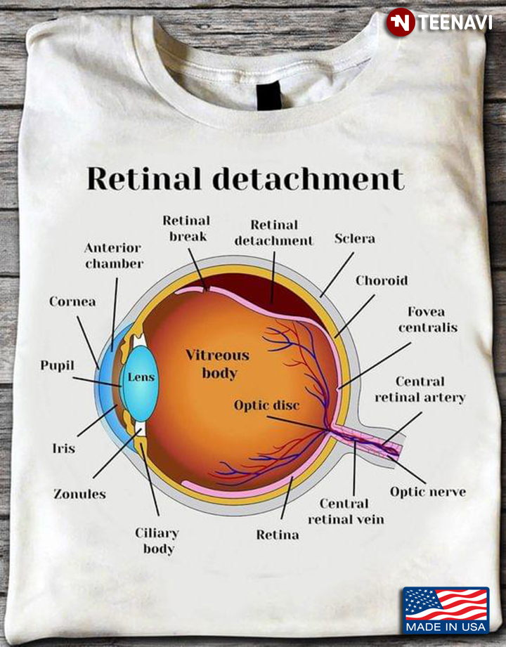 Retinal Detachment Human Eye Anterior Chamber Retinal Break
