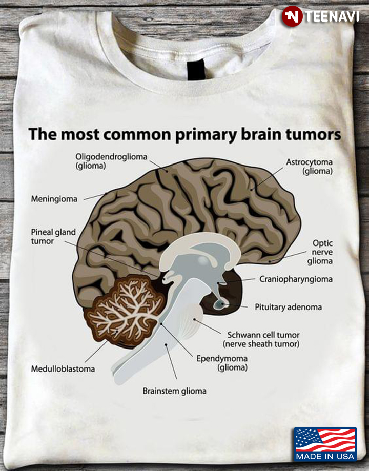 The Most Common Primary Brain Tumors