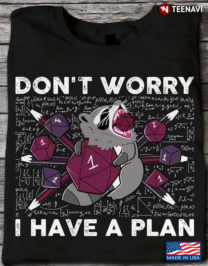 Don’t Worry I Have A Plan Funny Raccoon