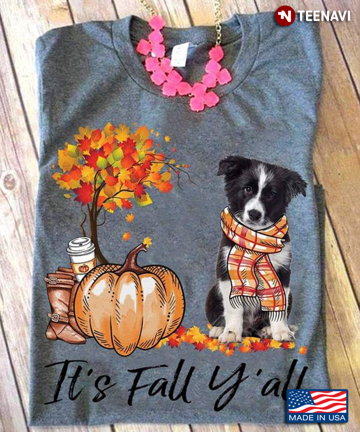 It’s Fall Y’all Fall And Border Collie Pumpkin Thanksgiving