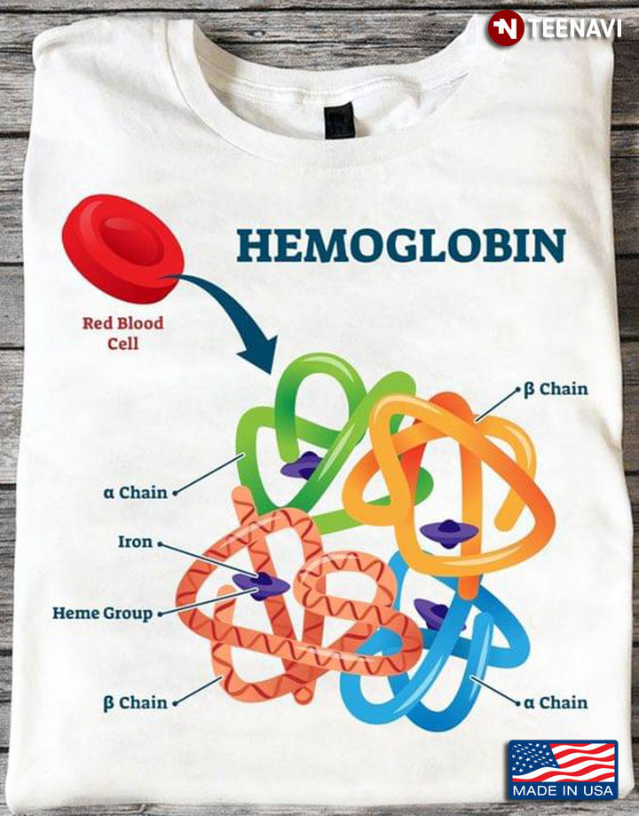 Hemoglobin Red Blood Cell Structure