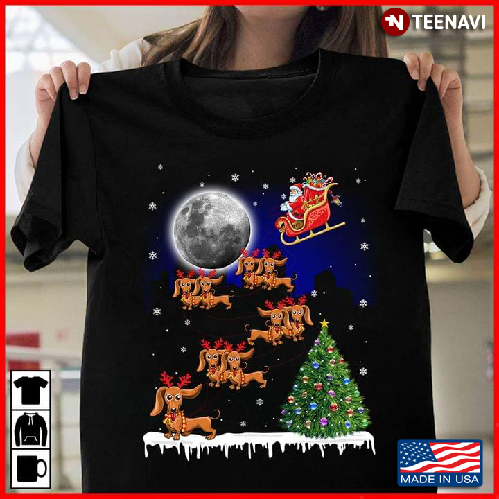 Dachshunds Reindeer Merry Christmas With Santa Claus Funny Christmas Gift