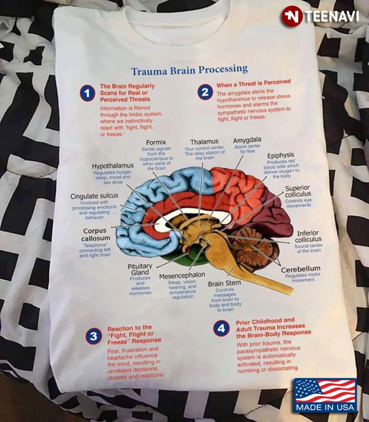 Trauma Brain Processing The Brain Regularly Scans For Real Or Perceived Threats