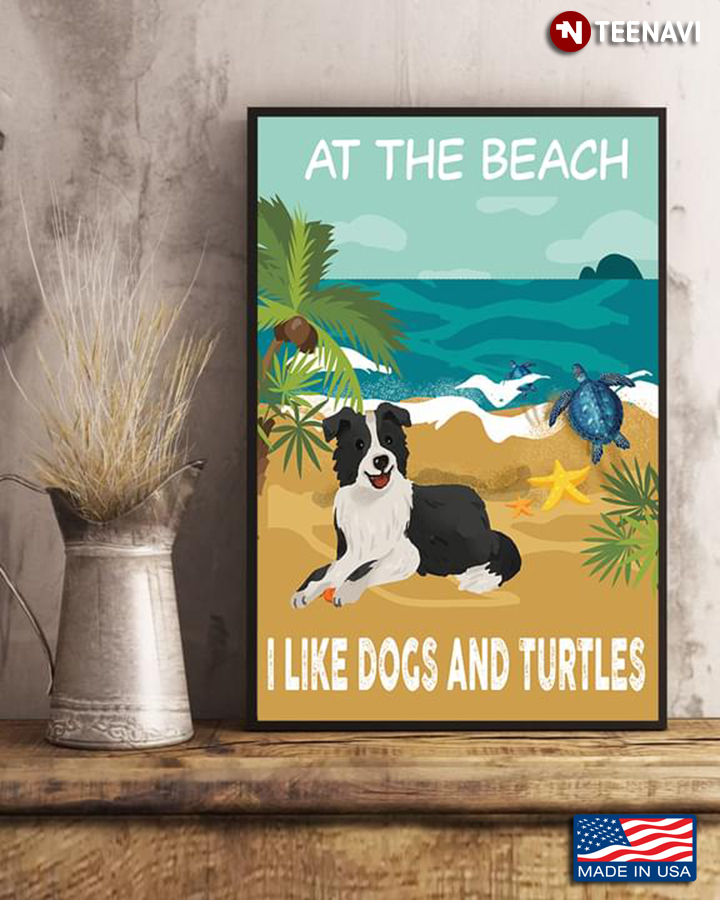 Border Collie And Sea Turtles On Sandy Beach At The Beach I Like Dogs And Turtles