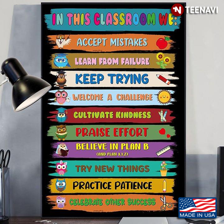 Colorful Owls In This Classroom We: Accept Mistakes Learn From Failure Keep Trying