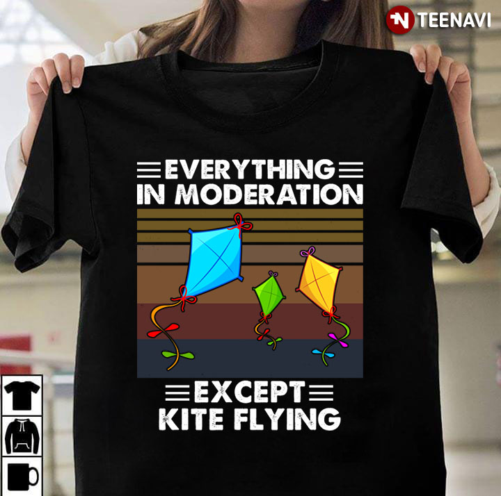 Everything In Moderation Except Kite Flying Vintage For Kite Flying Lover