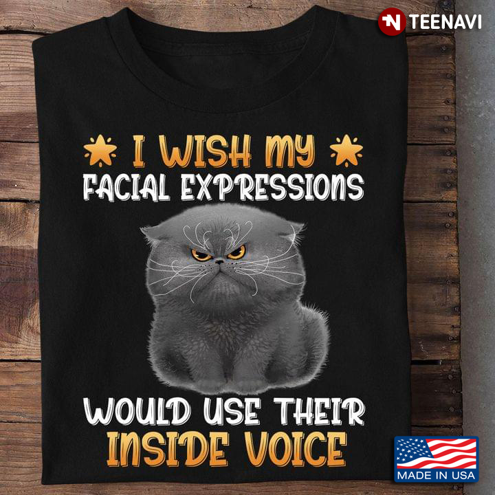 I Wish My Facial Expressions Would Use Their Inside Voice Grumpy Cat