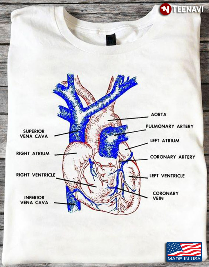 Heart Map Human Body For Medical Lover