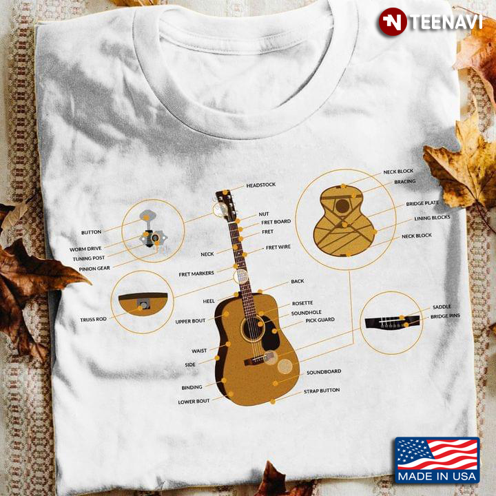 Anatomy Of An Acoustic Guitar for Guitar Lover