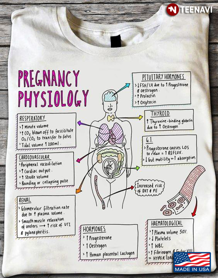 Pregnancy Physiology Human Health