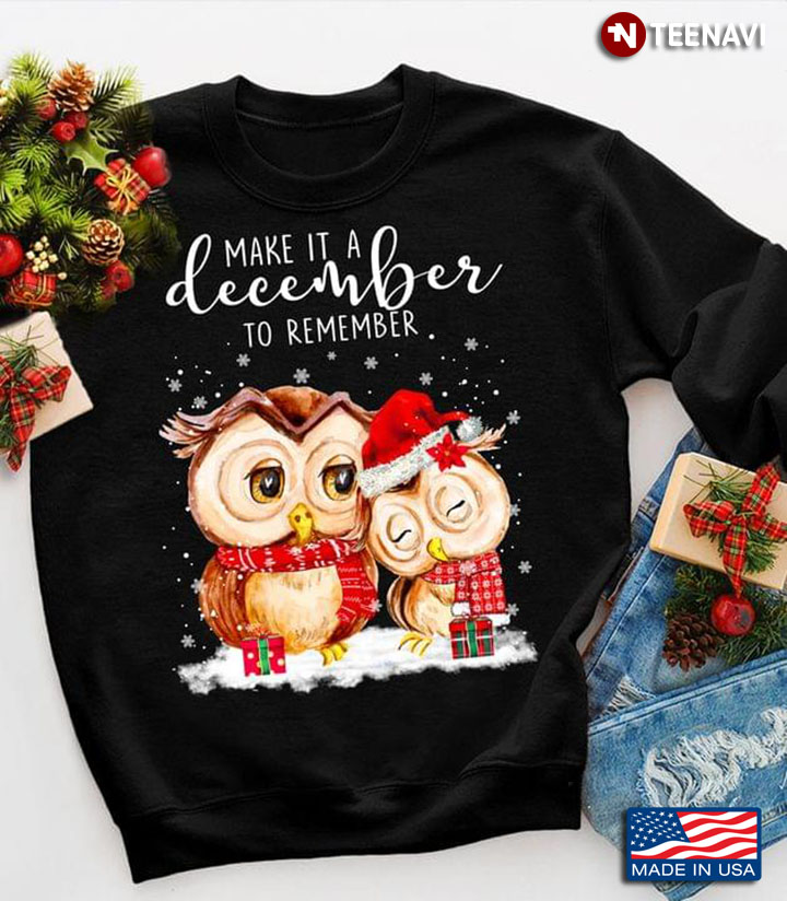 Lovely Owl Couple Make It A December To Remember Merry Christmas