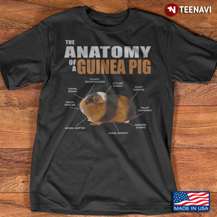 The Anatomy Of A Guinea Pig for Animal Lover