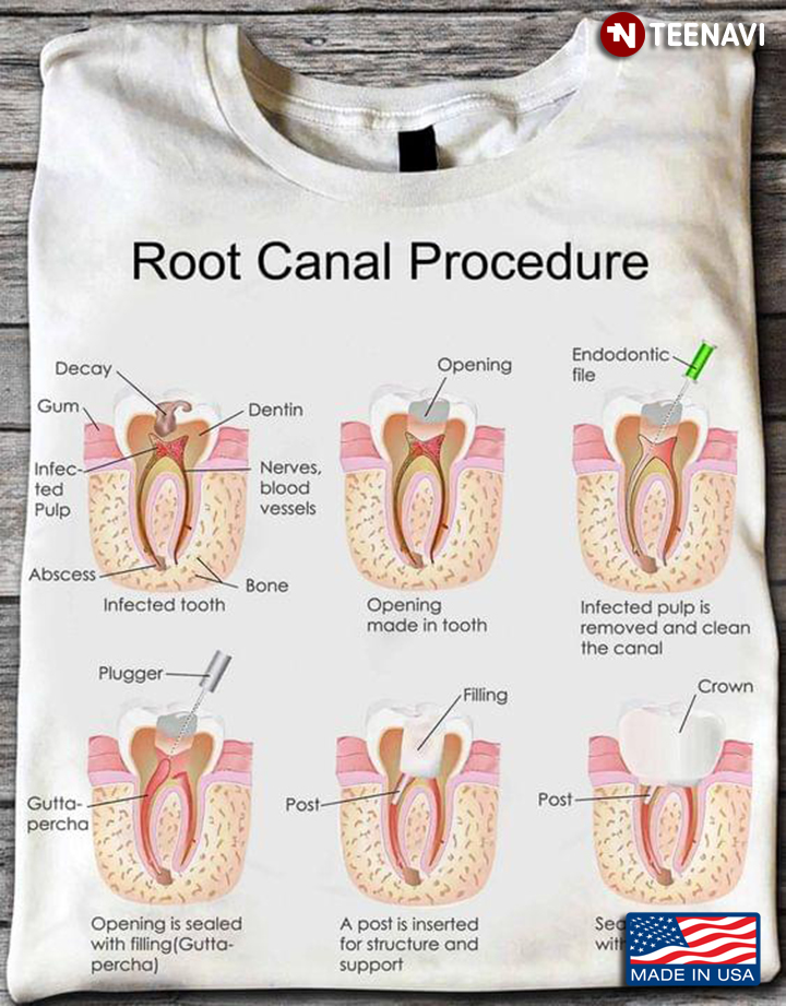 Anatomy Of Tooth Root Canal Procedure for Dentistry Lover