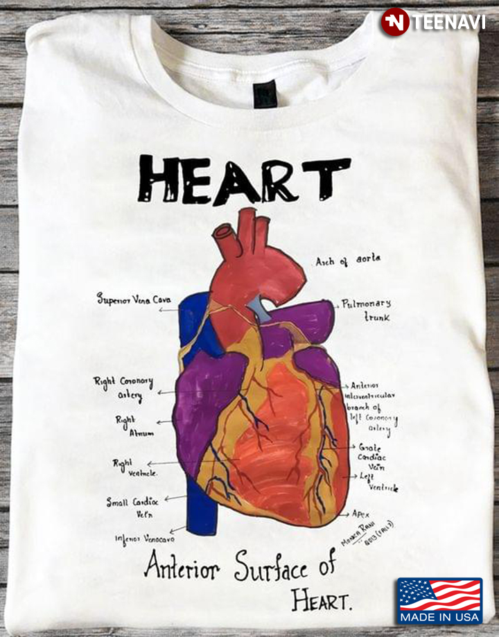 Heart Anterior Surface Of Heart for Cardiology Lover
