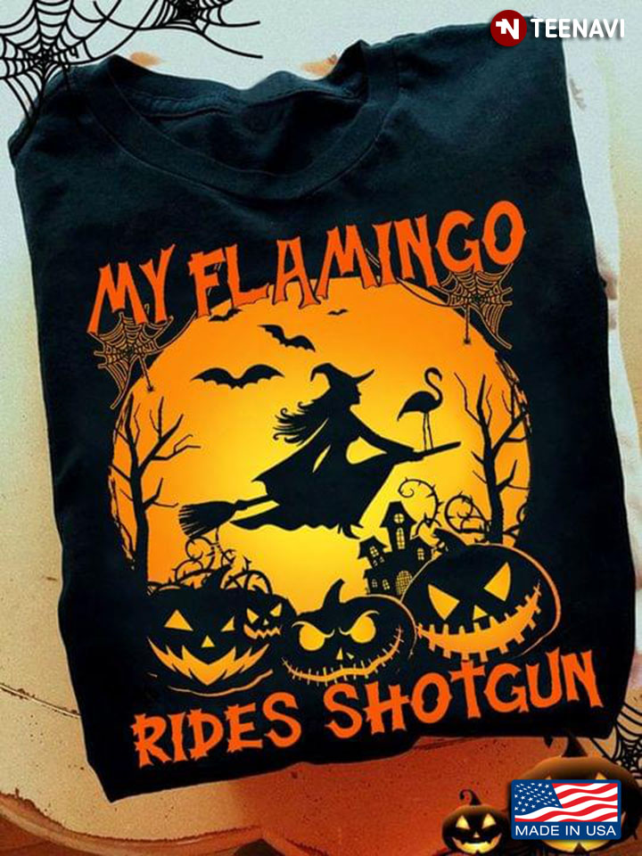 Halloween My Flamingo Rides Shotgun Pumpkin Flying Witch