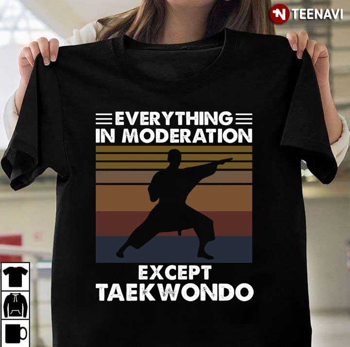 Vintage Everything In Moderation Except Taekwondo