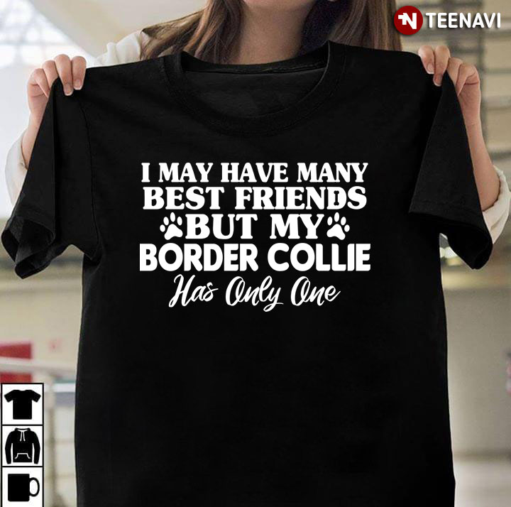 My Border Collies Has No Best Friend But Me