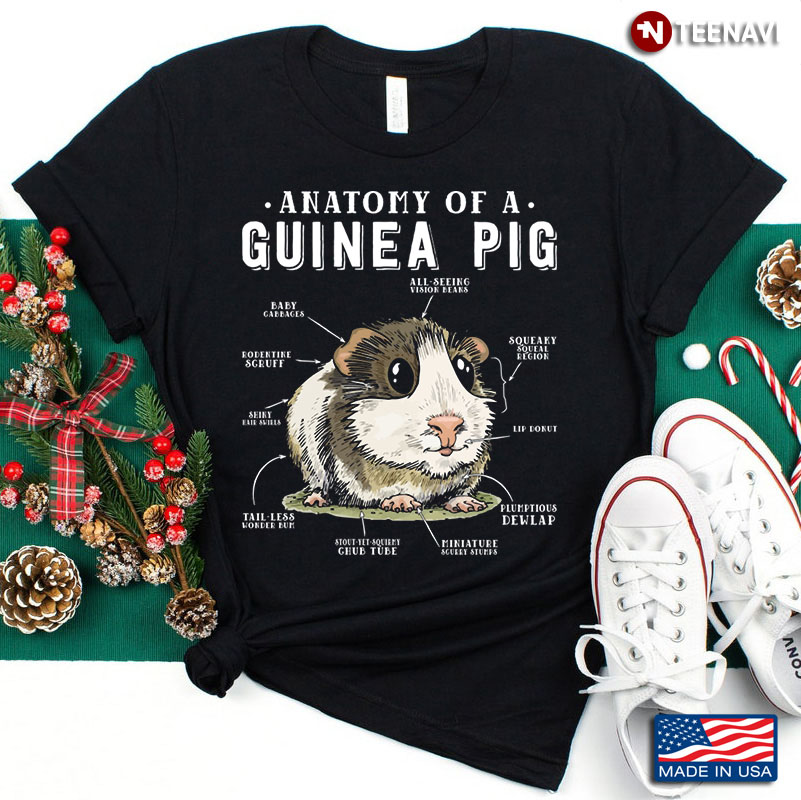 Funny Anatomy Of A Guinea Pig