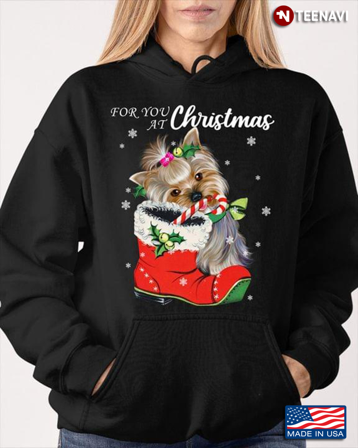 Yorkshire Terrier For You At Christmas