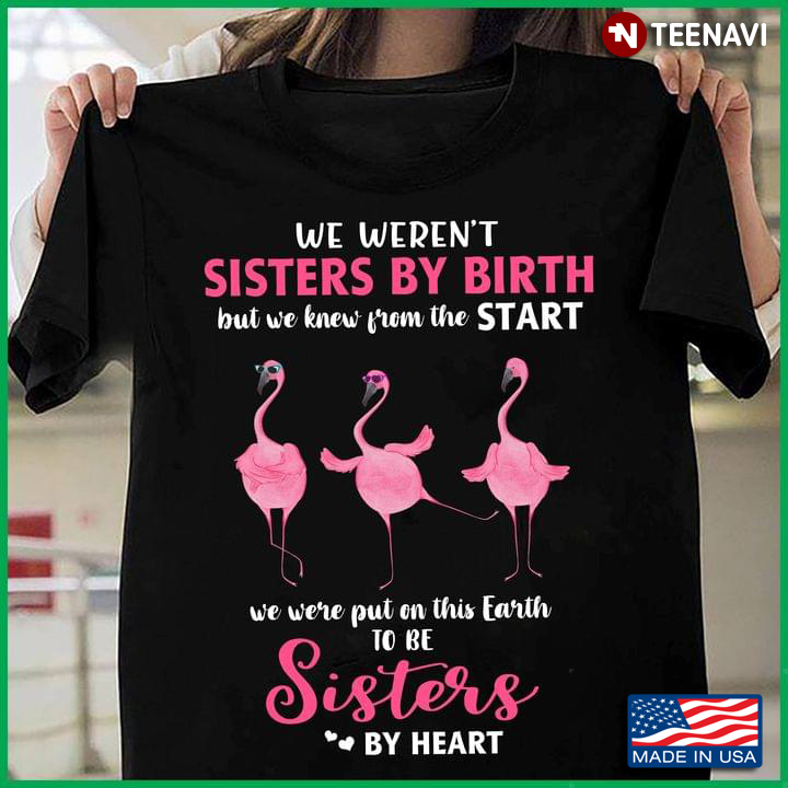 Flamingos We Weren't Sisters By Birth But We Knew From The Start We Were Put On This Earth