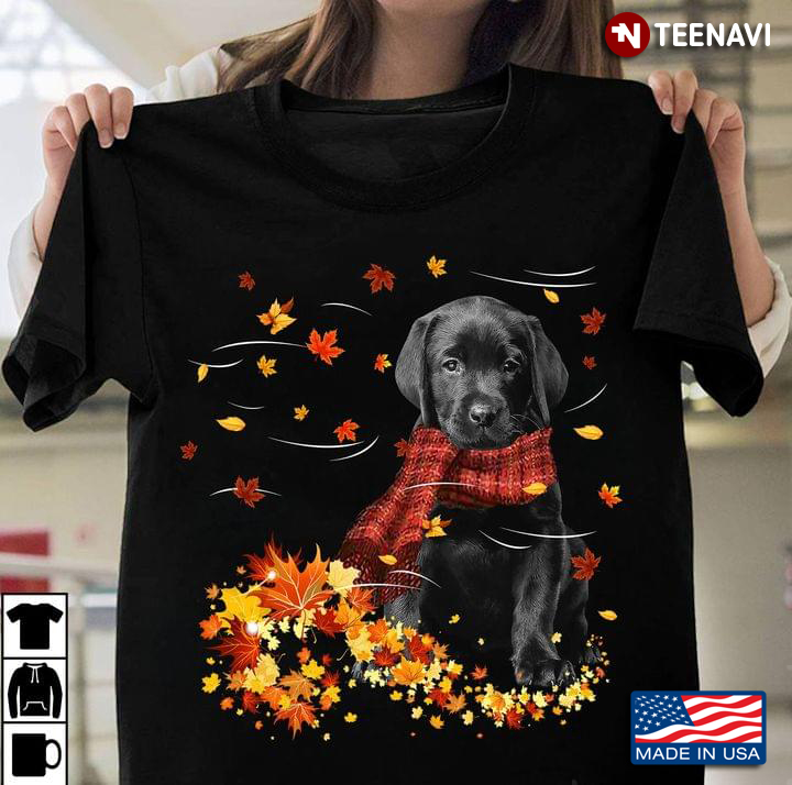 Labrador Retriever Puppy With Scarf And Autumn Leaves Happy Fall