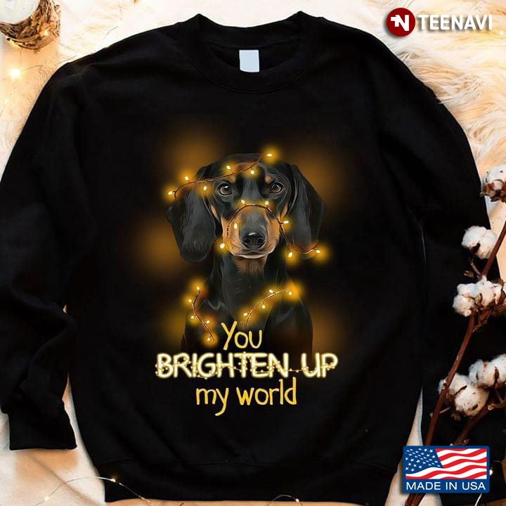 Dachshund With Lights You Brighten Up My World for Dog Lover