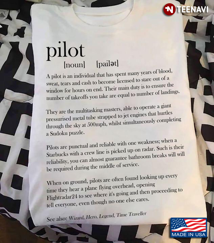 Pilot A Pilot Is An Individual That Has Spent Many Years Of Blood Sweat Tears And Cash