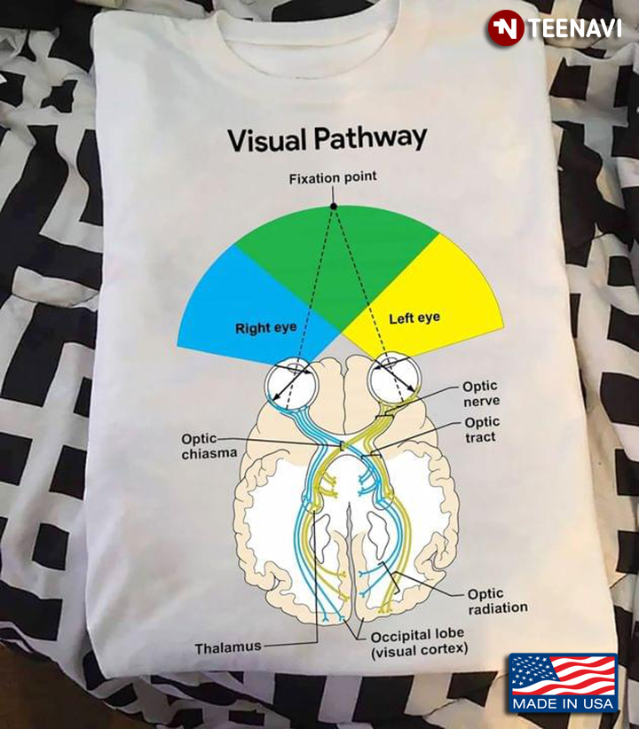 Visual Pathway Fixation Point Optometry Gifts for Optometrist