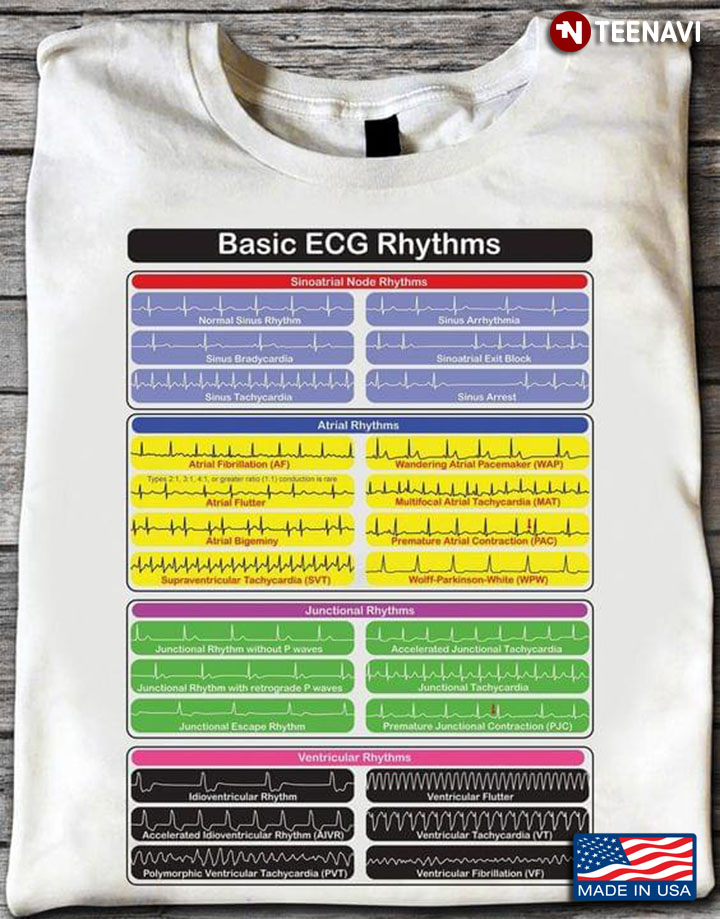 Basic ECG Rhythms Electrocardiogram Human Health