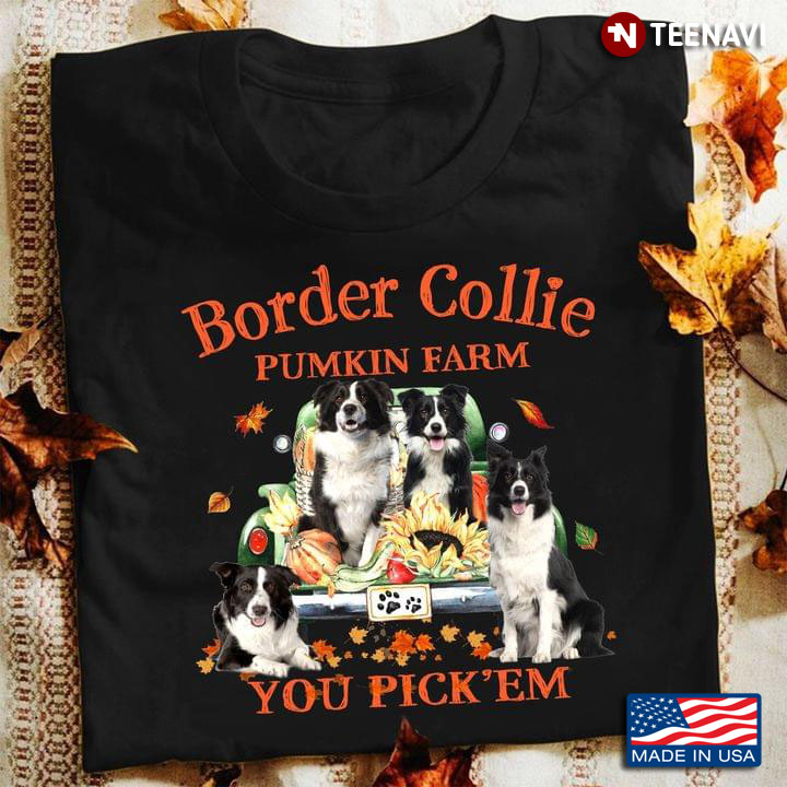 Border Collie Pumpkin Farm You Pick' Em for Thanksgiving