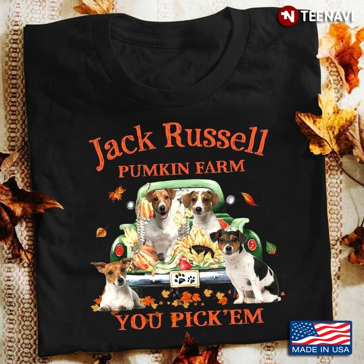 Jack Russell Pumpkin Farm You Pick' Em for Thanksgiving