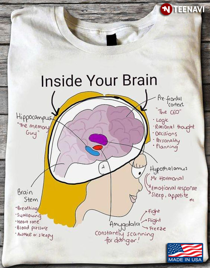 Inside Your Brain Hippocampus Pre Frontal Context Hypothalamus Amygdala Brain Stem