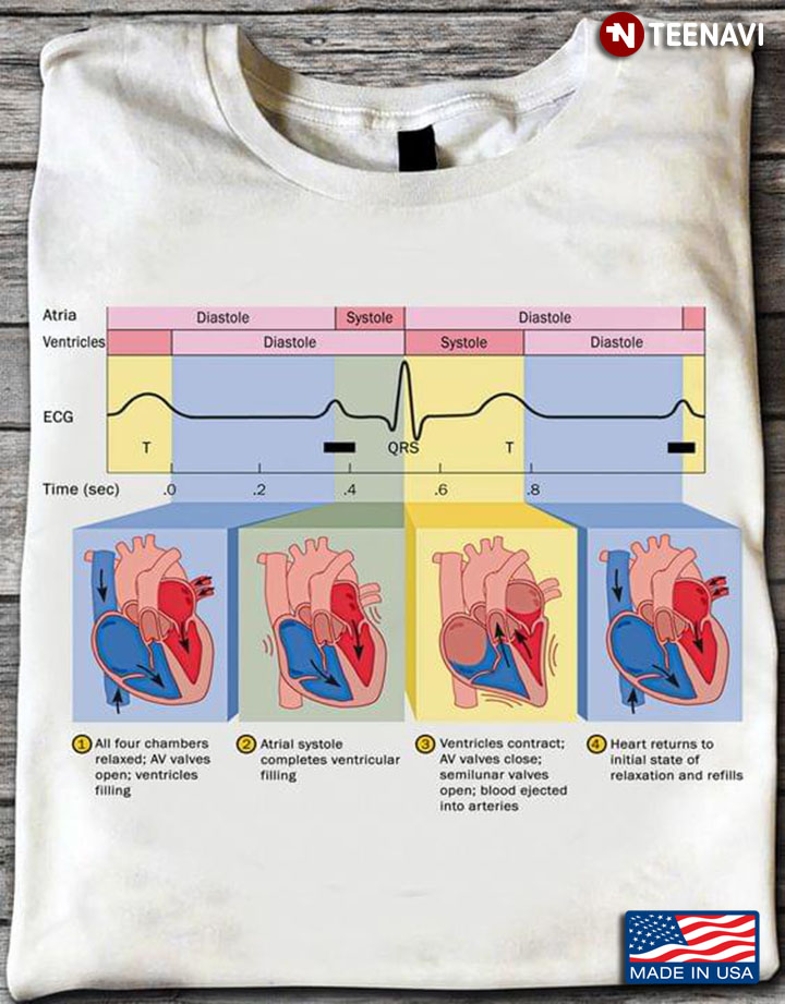 ECG Cardiac Cycle Illustration Human Health Cardiology for Cardiologist