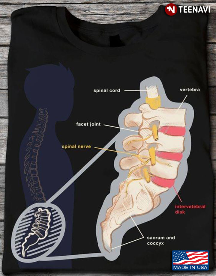Spinal Cord And Sacrum Coccyx Chiropractic Gift