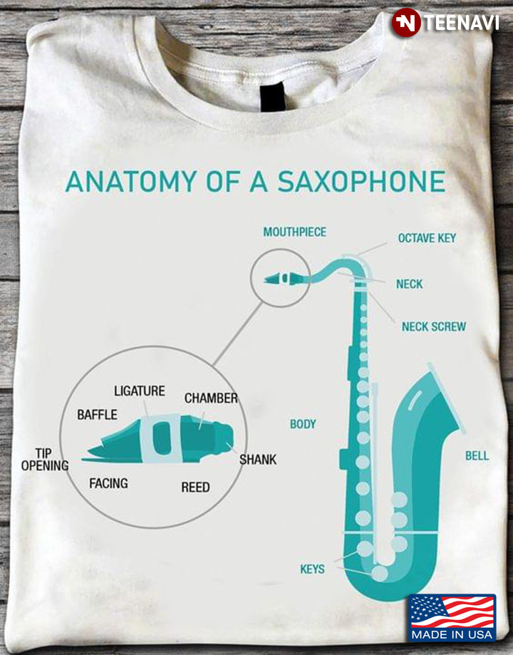 Anatomy Of A Saxophone Musical Instrument Lover
