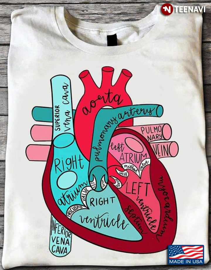 Ways To My Heart Inferior Vena Cava Superior Vena Cava