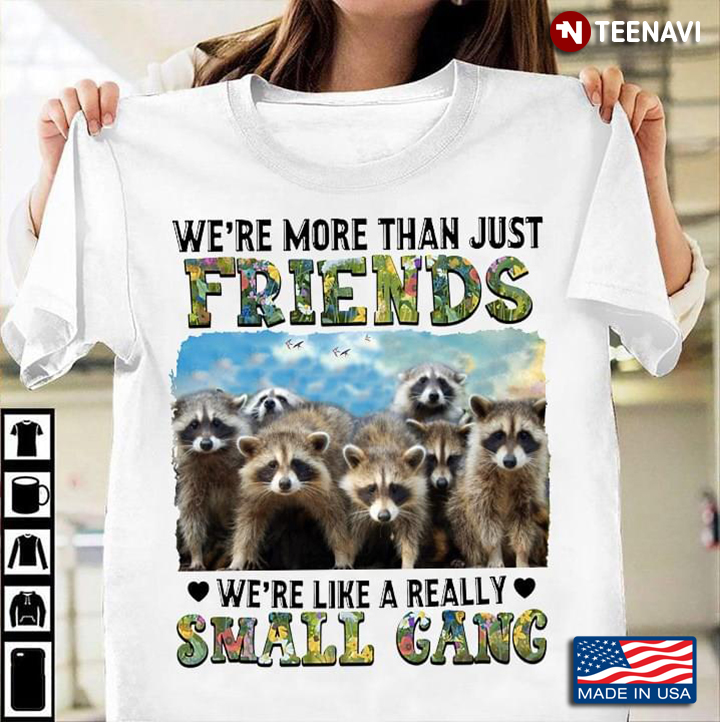 Funny Racoons We’re More Than Just Friends We’re Like A Really Small Gang