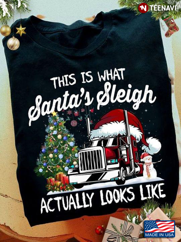 This Is That Santa’s Sleigh Actually Looks Like Trucker Christmas Lover