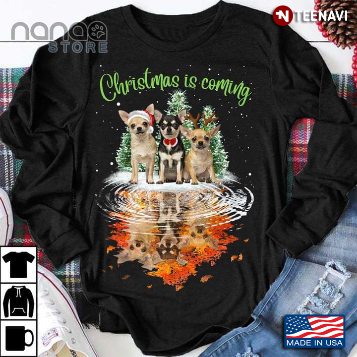 Chihuahuas Mirror Reflection Christmas Dog – Christmas Is Coming