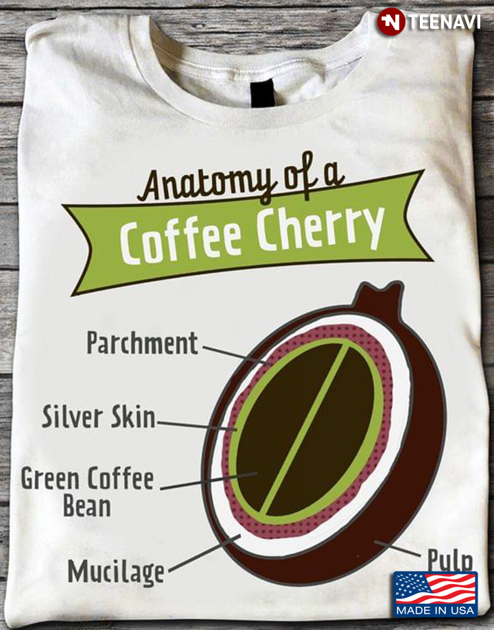 Anatomy Of A Coffee Cherry Parchment Silver Skin