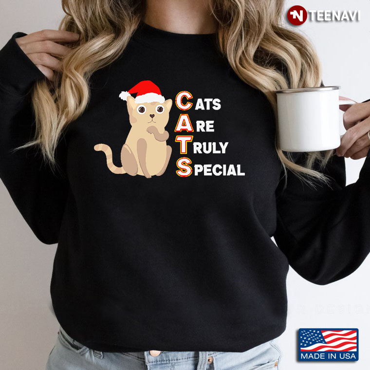Cats Are Truly Special Acronym With Santa Hat Cat Lover