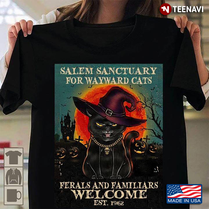 Witch Salem Sanctuary For Wayward Cats Ferals And Familiars Welcome Est 1962