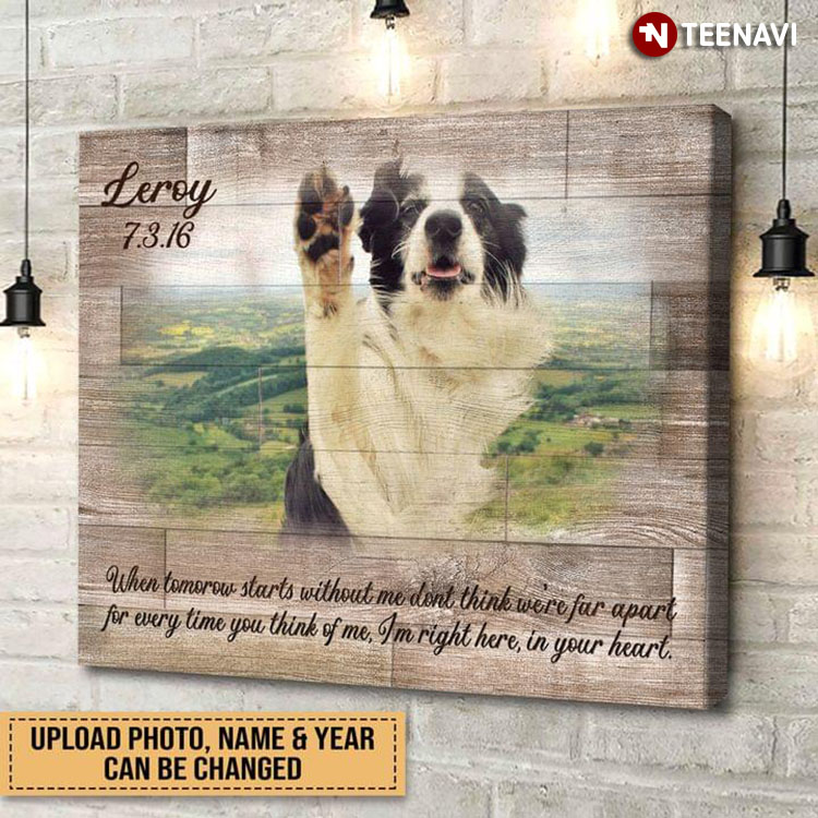 Personalized Photo, Name & Year Border Collie Dog Letter When Tomorrow Starts Without Me Don't Think We're Far Apart