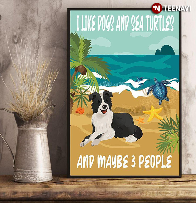 Border Collie And Sea Turtles On Sandy Beach I Like Dogs And Sea Turtles And May Be 3 People