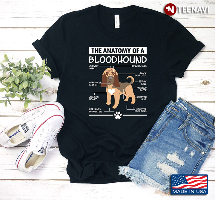 The Anatomy Of A Bloodhound   For Dog Lover