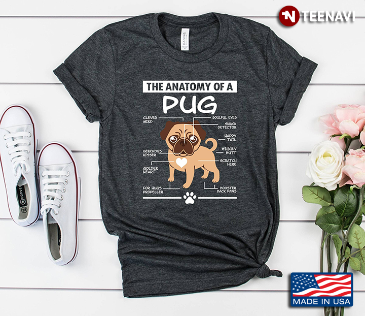 The Anatomy Of A Pug For Dog Lover