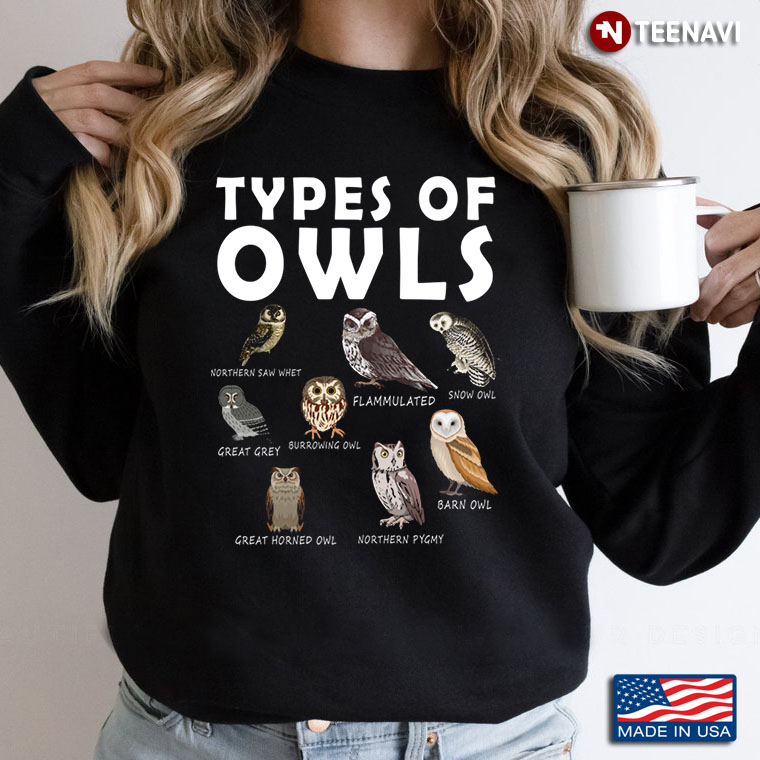 Types of Owls Bird for Animal Lover
