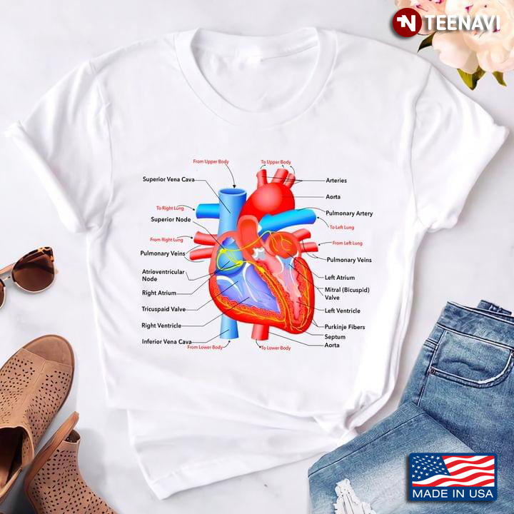 Structure Of Heart Cardiology Gifts for Cardiologist