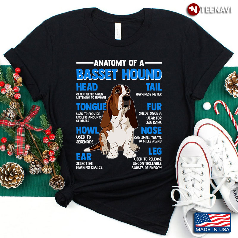 Anatomy Of A Basset Hound for Dog Lover
